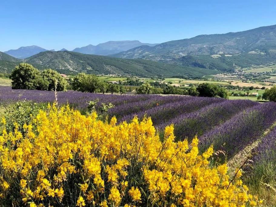 Confortable Village Medieval Baronnies Provencales